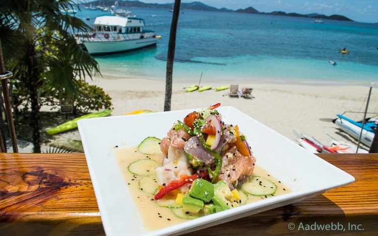 USVI St. John Caneel Bay ceviche