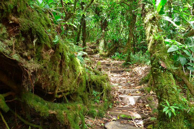 Hiking USVI