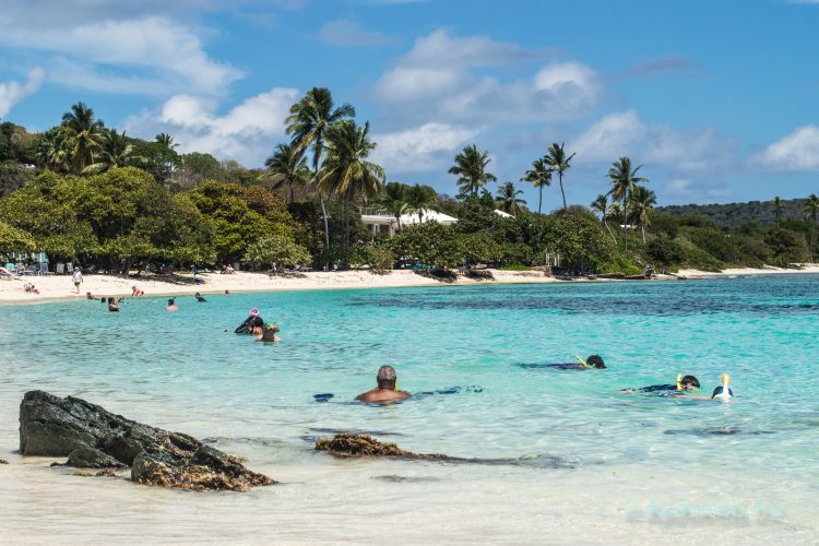 USVI Sapphire Beach