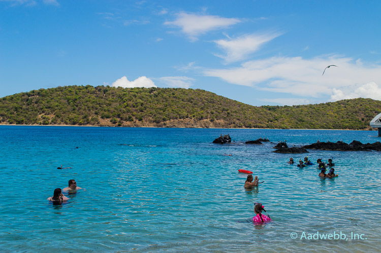 USVI St. Thomas Coki Beach