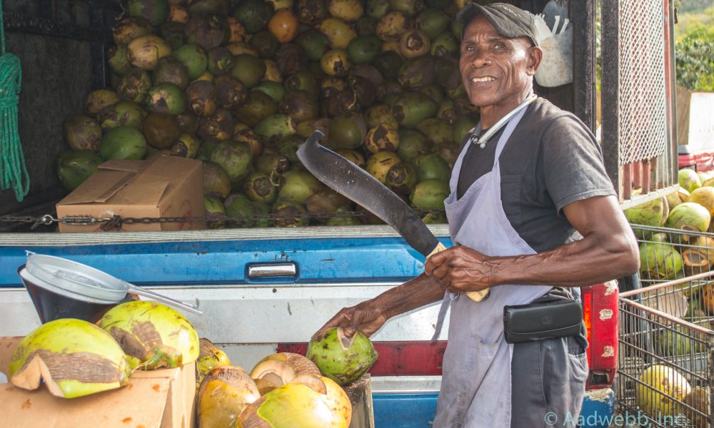 USVI Fruit Stand Coconuts